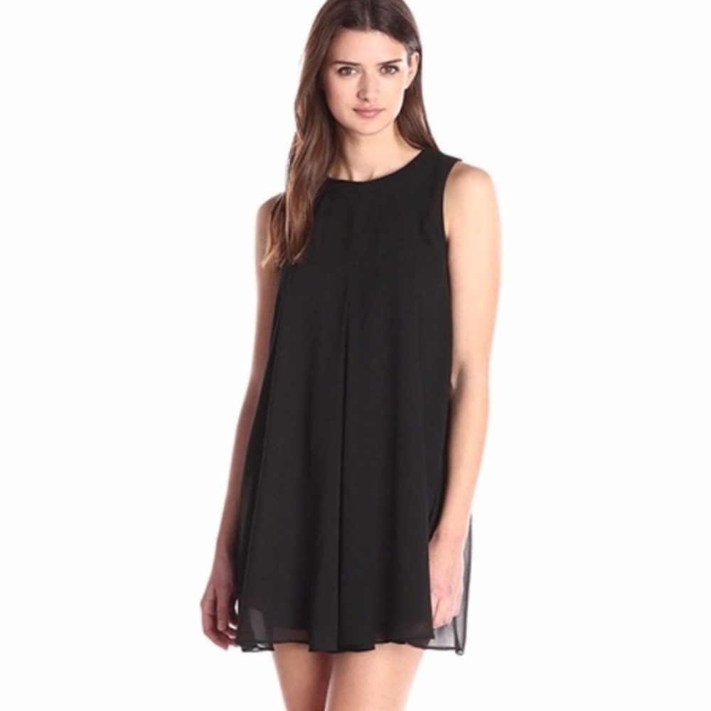 BCBG Sleeveless Swing Mini Dress